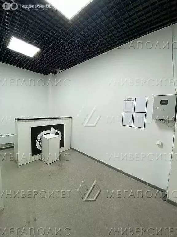 Помещение свободного назначения (13 м) - Фото 2