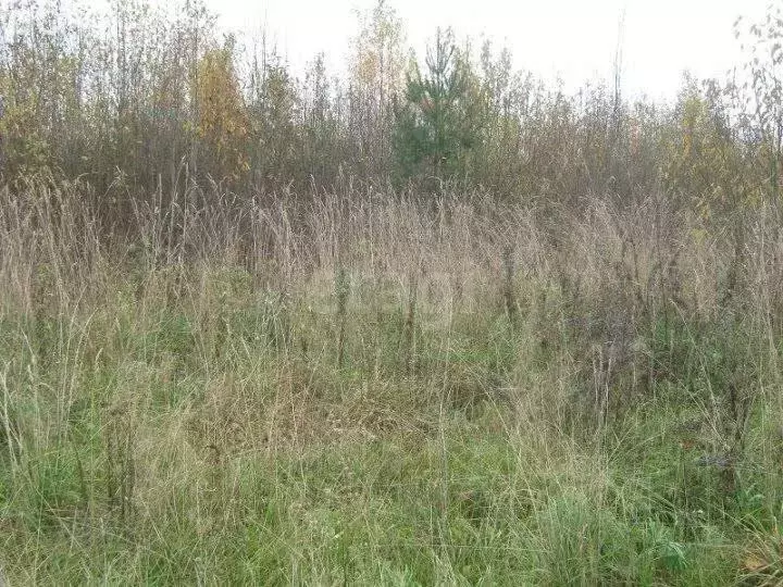 Участок в Липецк, СНТ Студёновское, 2-й участок, 1-я дорога (4 м) - Фото 2