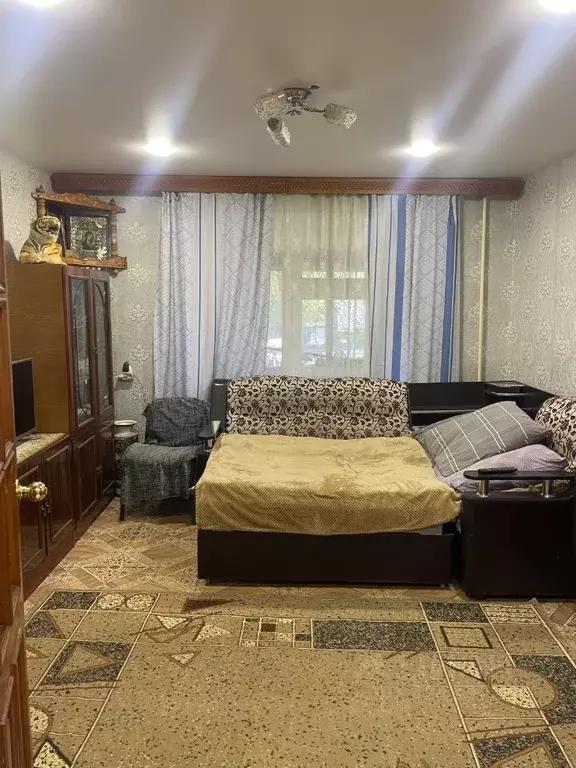 2-к кв. Нижегородская область, Богородск ул. Ленина, 368 (50.6 м) - Фото 2