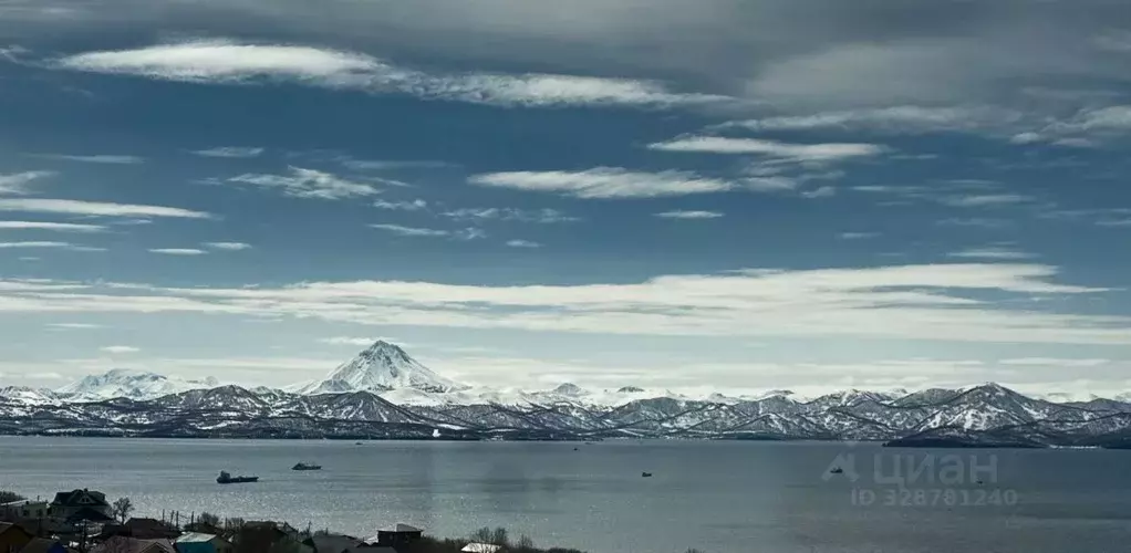 1-к кв. Камчатский край, Петропавловск-Камчатский ул. Автомобилистов, ... - Фото 1