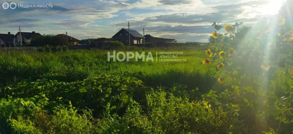 Участок в Бавлинский район, Кзыл-Ярское сельское поселение, деревня ... - Фото 1