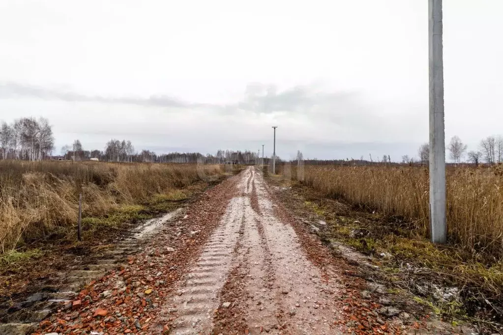 Участок в Тюменская область, Нижнетавдинский муниципальный округ, 7 ... - Фото 1