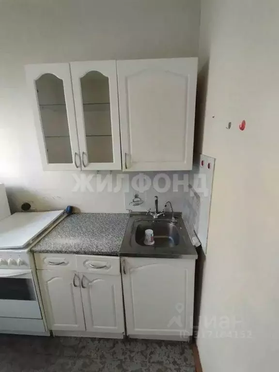 1-к кв. Новосибирская область, Новосибирск ул. Дуси Ковальчук, 69 ... - Фото 1