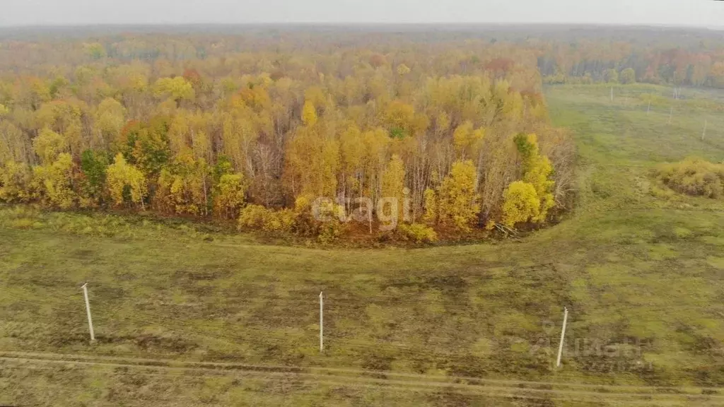 Участок в Тюменская область, Тюменский муниципальный округ, с. ... - Фото 1