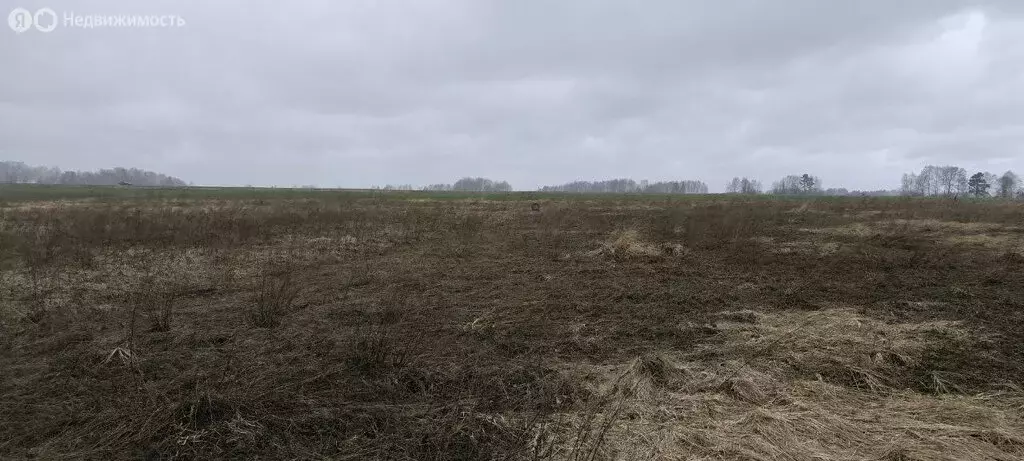 Участок в деревня Тиганово, Зареченская улица (28 м) - Фото 1