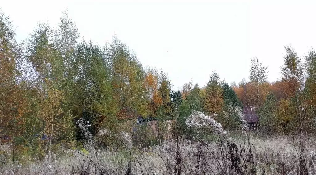 Участок в Ленинградская область, Выборгский район, Советское городское ... - Фото 1