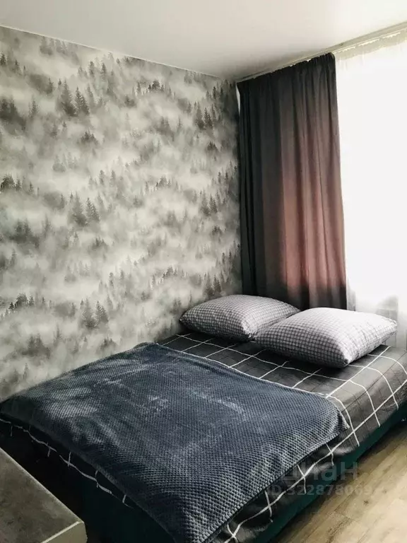 Студия Ивановская область, Иваново Новосельская ул. (18.7 м) - Фото 2