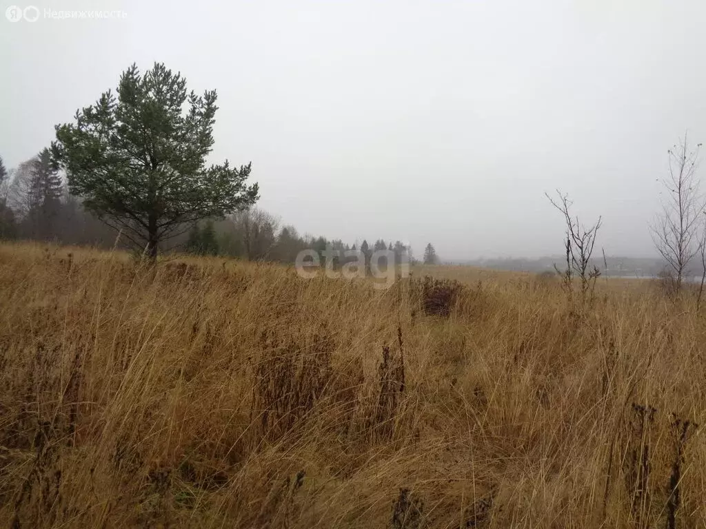 Участок в Вологодская область, Кирилловский муниципальный округ, село ... - Фото 0