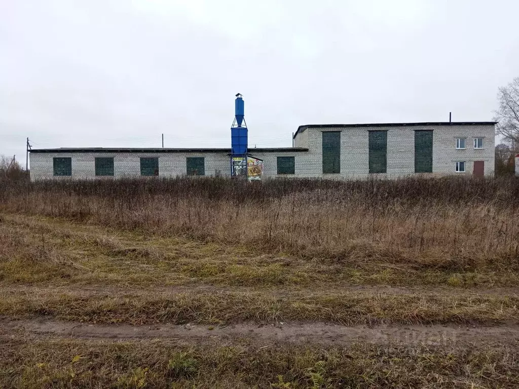 Производственное помещение в Архангельская область, Каргопольский ... - Фото 2