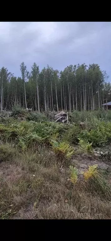 Участок в Тамбовская область, Тамбовский муниципальный округ, Рада ... - Фото 1