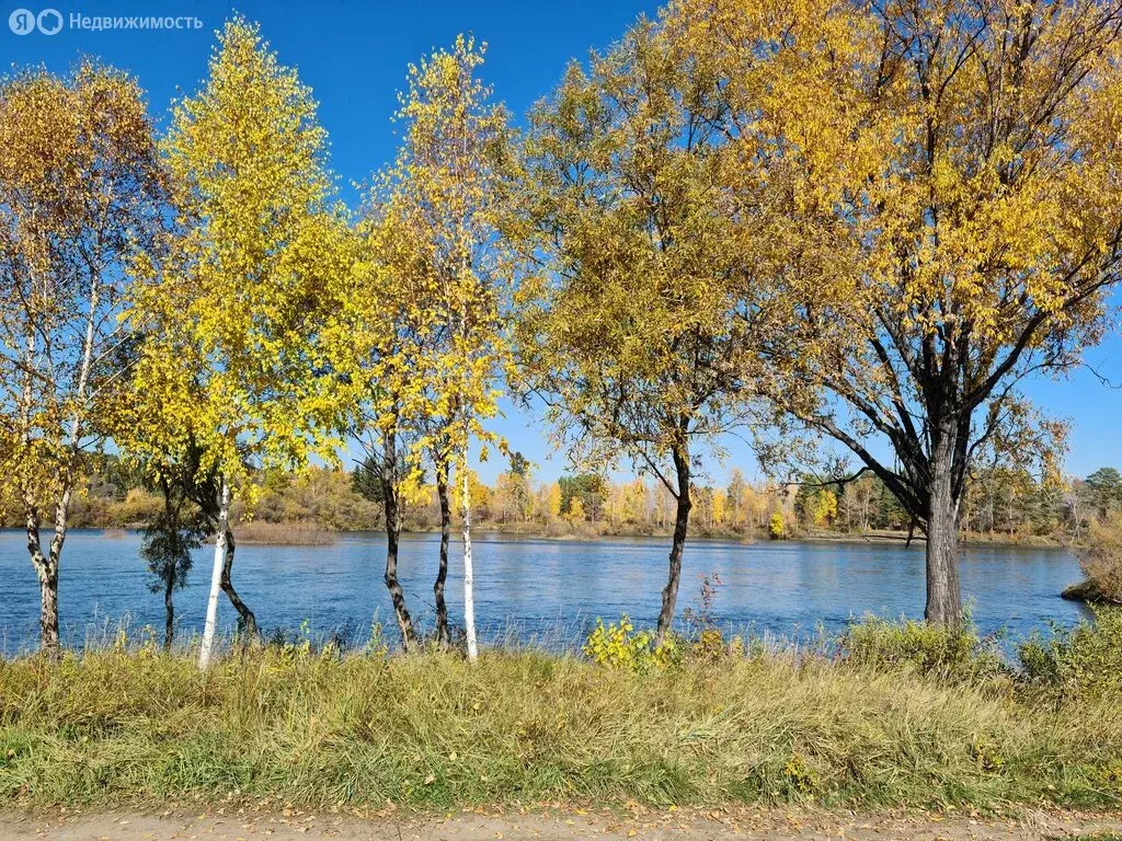 Дом в Баклашинское муниципальное образование, ДНТ Сосновый, Береговая ... - Фото 2