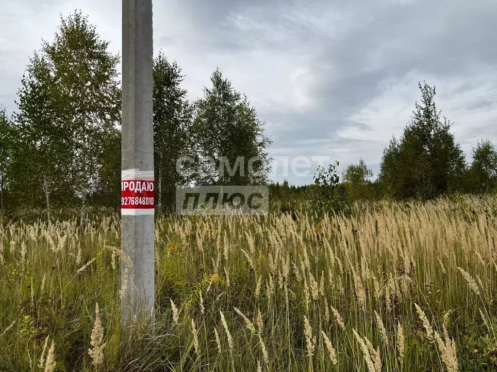 Участок в Марий Эл, Йошкар-Ола городской округ, д. Шоя-Кузнецово ул. ... - Фото 0