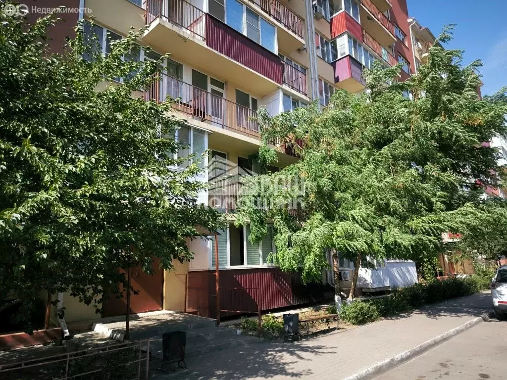 Квартира-студия: село Новая Усмань, Ростовская улица, 4Б/4 (19.4 м) - Фото 0