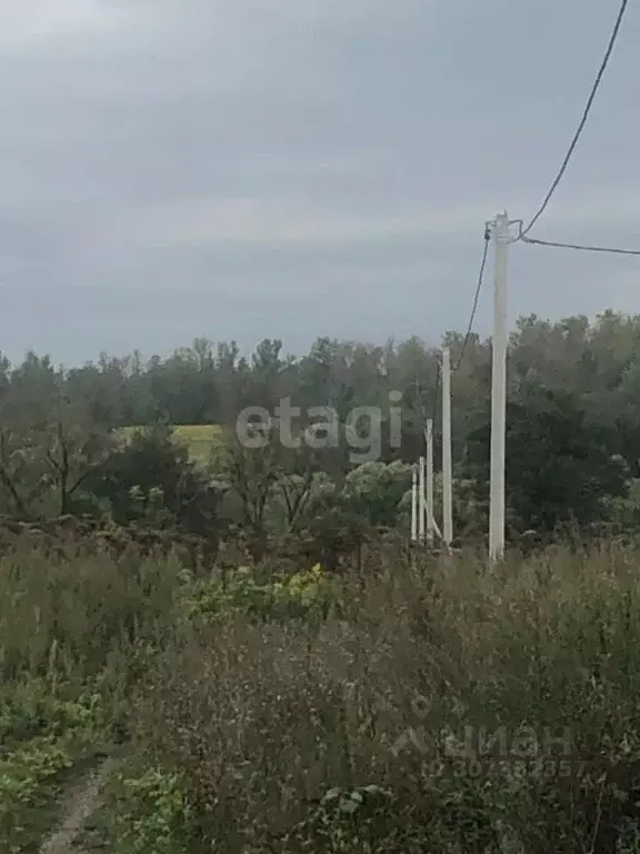 Участок в Тульская область, Тула муниципальное образование, д. ... - Фото 1