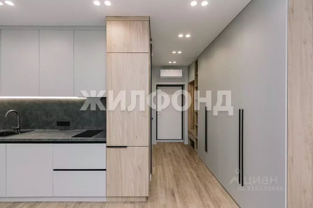 Студия Новосибирская область, Новосибирск Железнодорожная ул., 18 ... - Фото 0