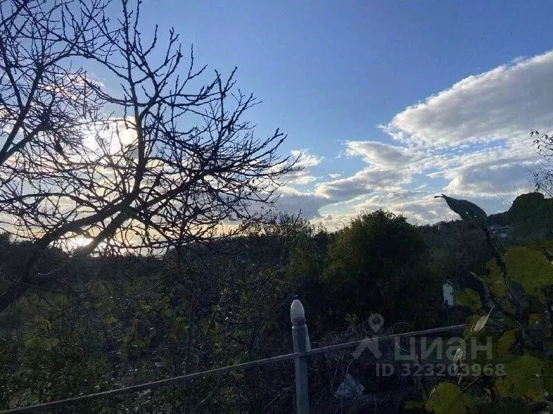 Участок в Краснодарский край, Сочи ул. Енисейская, 3 (1000.0 сот.) - Фото 2