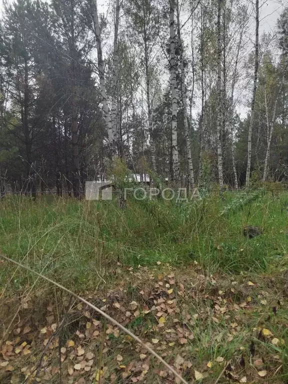 Участок в Новосибирская область, Искитимский район, с. Морозово ул. ... - Фото 1