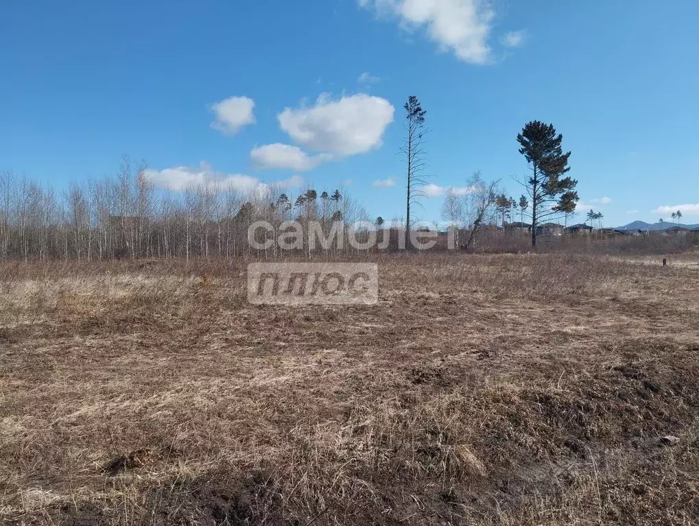 Участок в Забайкальский край, Читинский район, пос. Забайкальский ул. ... - Фото 2