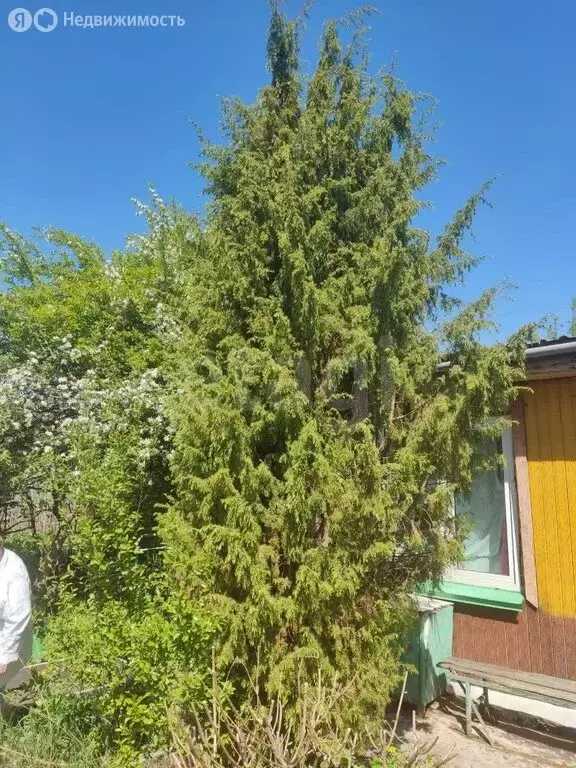 Дом в Тюмень, СНТ Строитель-3, Рябиновая улица (25 м) - Фото 2