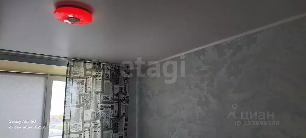 1-к кв. Томская область, Томск ул. Шевченко, 45 (13.4 м) - Фото 0