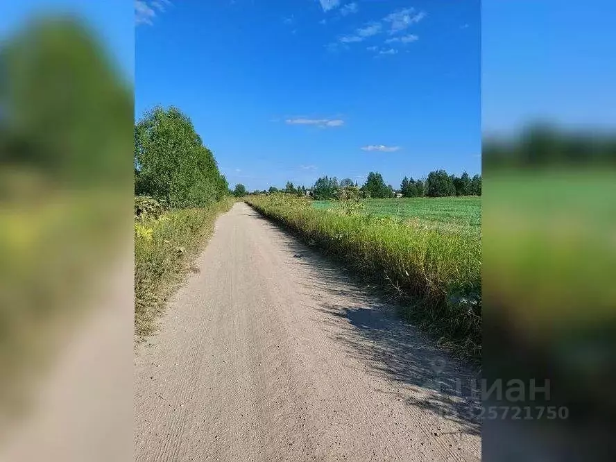 Участок в Коми, Сыктывдинский муниципальный район, Пажга муниципальное ... - Фото 2