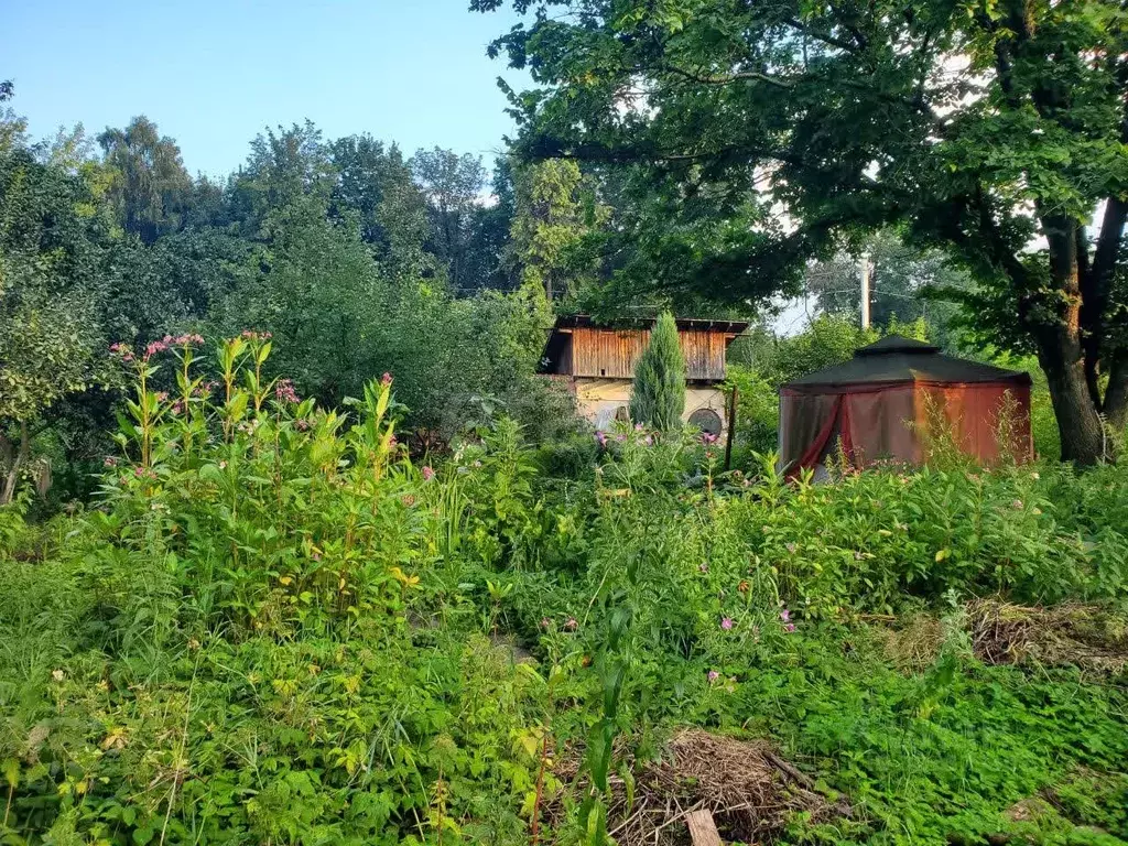 Участок в Московская область, Люберцы СНТ Зеленая Зона тер., ул. ... - Фото 1