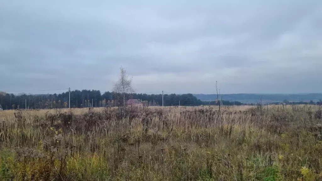 Участок в Тульская область, Алексин городской округ, с. Бунырево  ... - Фото 1