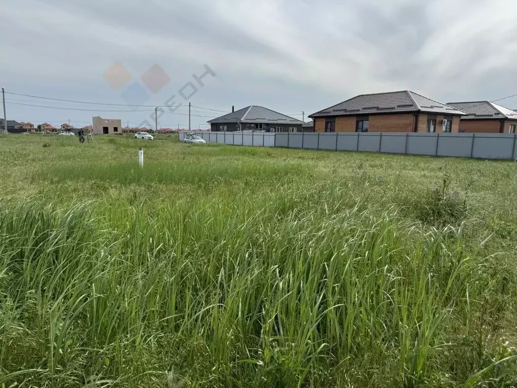 Участок в Краснодарский край, Краснодар городской округ, Ленина хут. ... - Фото 1