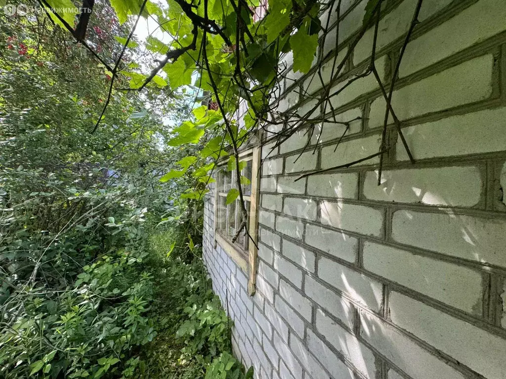 Дом в деревня Курнявцево, СДТ Нива, 43 (20 м) - Фото 0