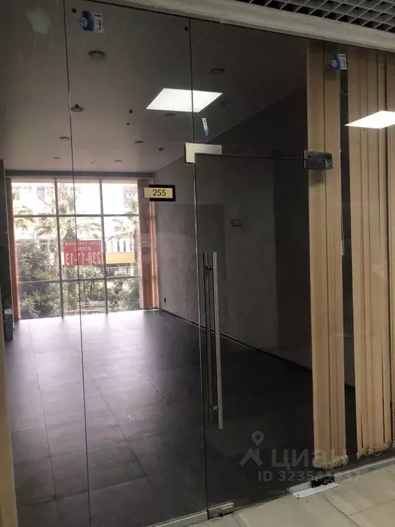 Помещение свободного назначения в Краснодарский край, Сочи Центральный ... - Фото 1