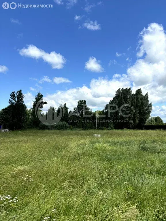 Участок в деревня Саксино, улица Бугровка (20 м) - Фото 1