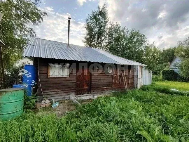 Участок в Новосибирская область, Колыванский район, Элеваторщик СНТ  ... - Фото 1