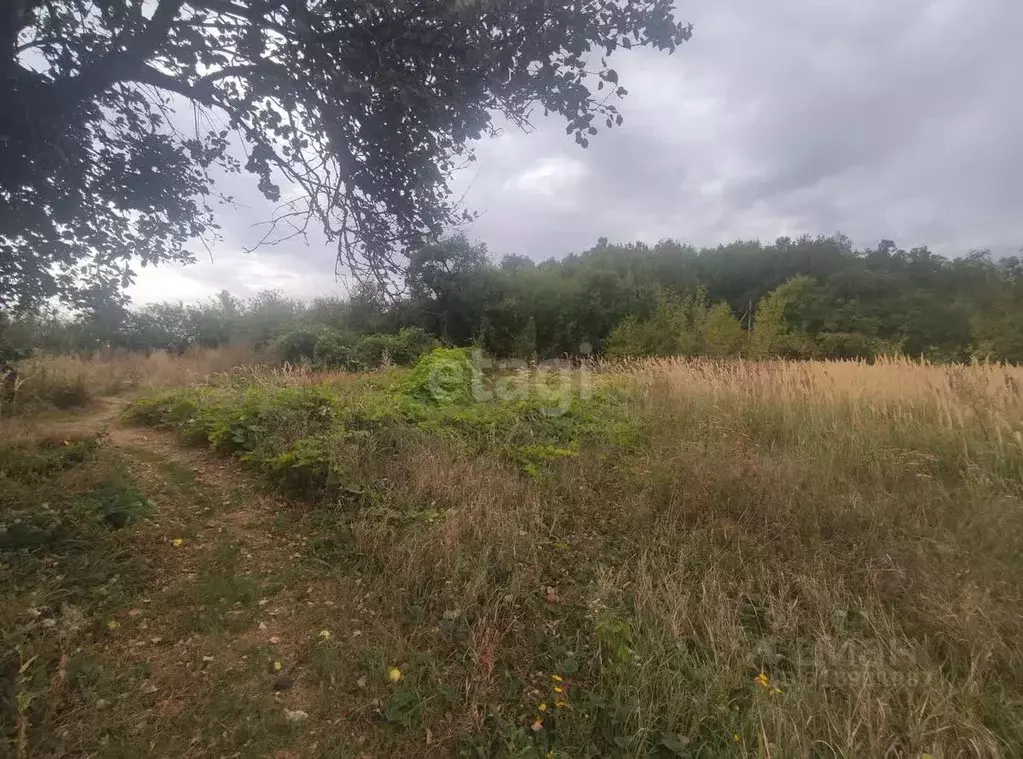 Участок в Белгородская область, Старооскольский городской округ, с. ... - Фото 0