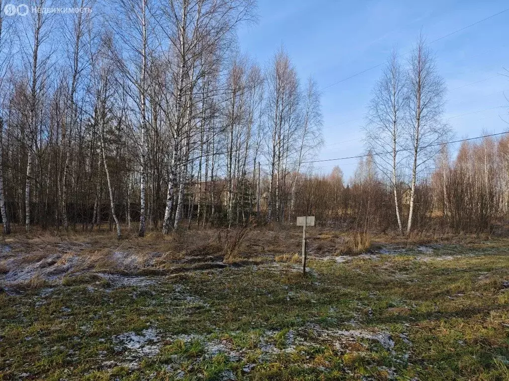 Участок в деревня Старая Руза, Берёзовая улица (30 м) - Фото 2