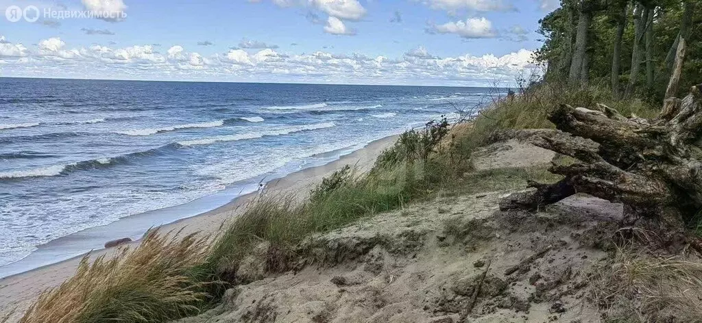 Участок в Калининградская область, Зеленоградский муниципальный округ, ... - Фото 2