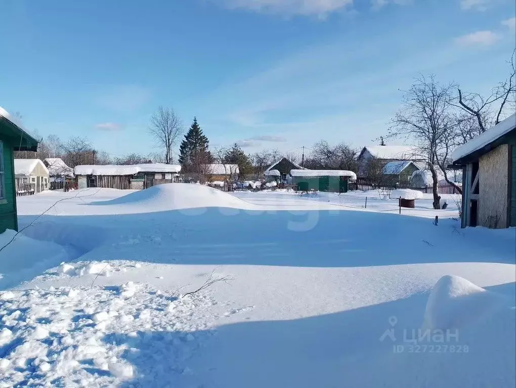 Участок в Ярославская область, Ярославль Юбилейный СНТ, 76 (6.2 сот.) - Фото 2