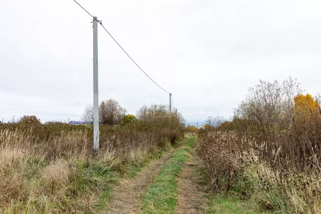 Участок в Тюменская область, Тюмень Рябинка-2 садовое товарищество,  ... - Фото 1