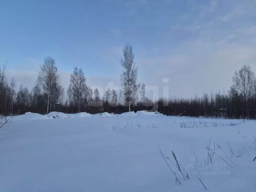 Участок в Ярославская область, Ярославский муниципальный округ, ... - Фото 1