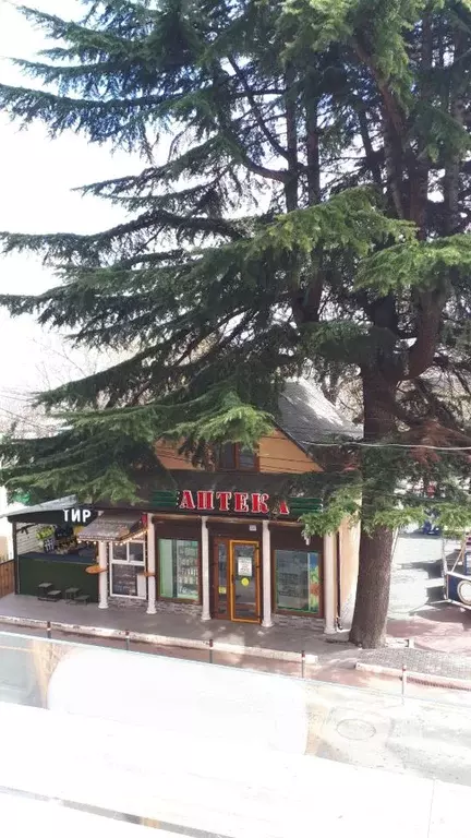 2-к кв. Крым, Алушта ул. Набережная, 18Е (70.0 м) - Фото 1