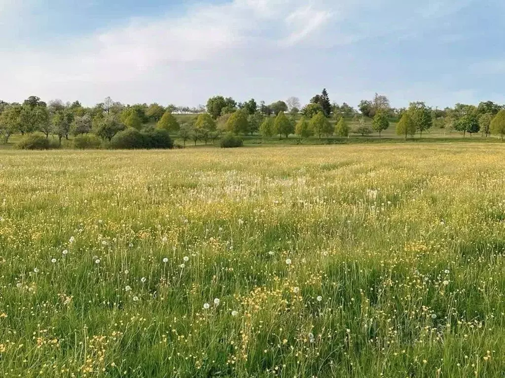 Участок в Курская область, Курский район, Моковский сельсовет, д. ... - Фото 1