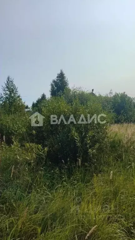 Участок в Татарстан, Казань Залесный садоводческое товарищество,  (4.0 ... - Фото 0