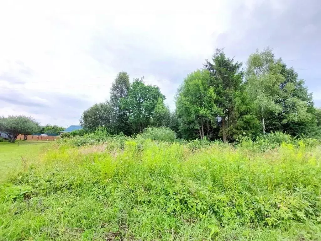 Участок в Калужская область, Юхновский район, Щелканово с/пос, д. ... - Фото 2