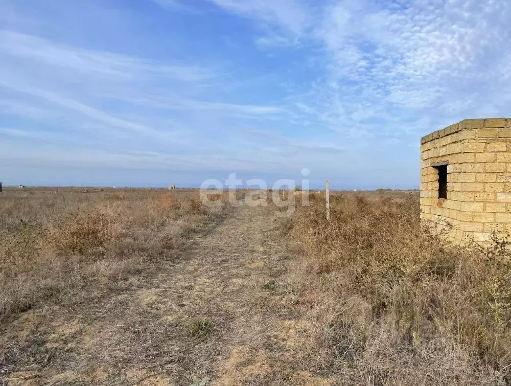 Участок в Крым, Раздольненский район, Славновское с/пос, Отдых СНТ  ... - Фото 1