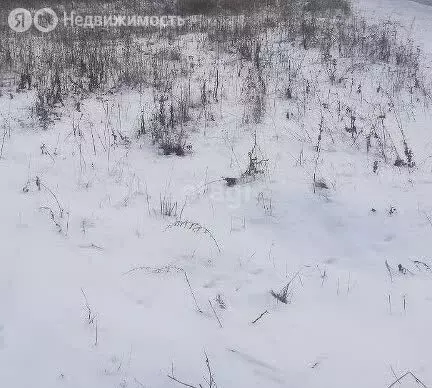 Участок в Курский район, Нижнемедведицкий сельсовет, деревня Хмелевая ... - Фото 1