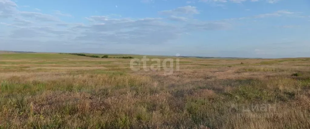 Участок в Волгоградская область, Среднеахтубинский район, Фрунзенское ... - Фото 1