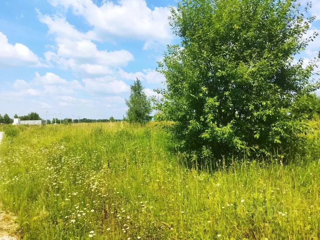 Участок в Тульская область, Ясногорский район, Иваньковское с/пос, д. ... - Фото 2