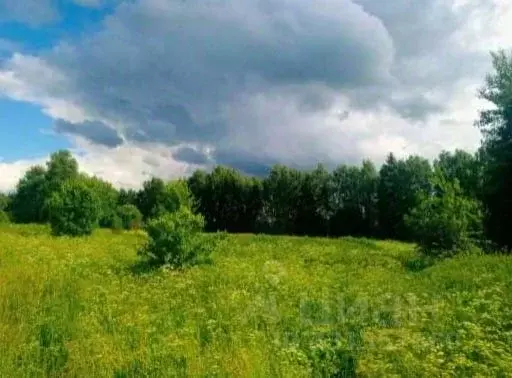 Участок в Московская область, Коломна городской округ, с. Андреевское  ... - Фото 1