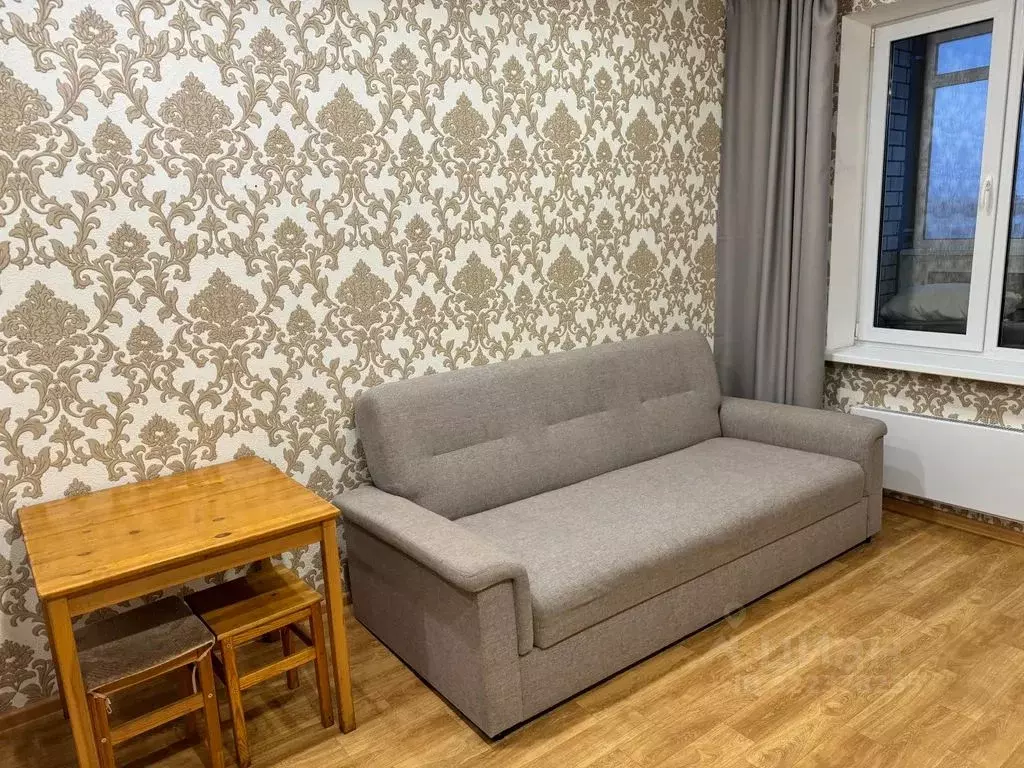 Студия Псковская область, Псков Техническая ул., 17 (27.0 м) - Фото 2