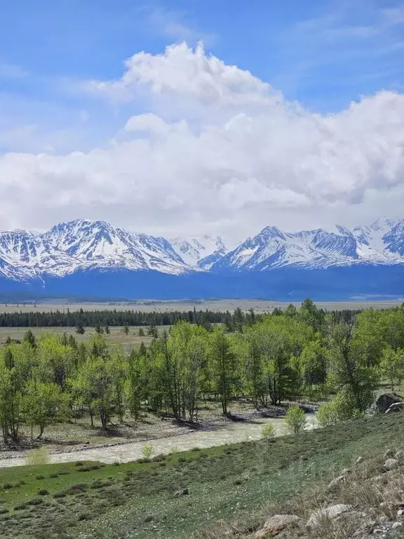 Участок в Алтай, Кош-Агачский район, с. Кызыл-Таш  (110.0 сот.) - Фото 1