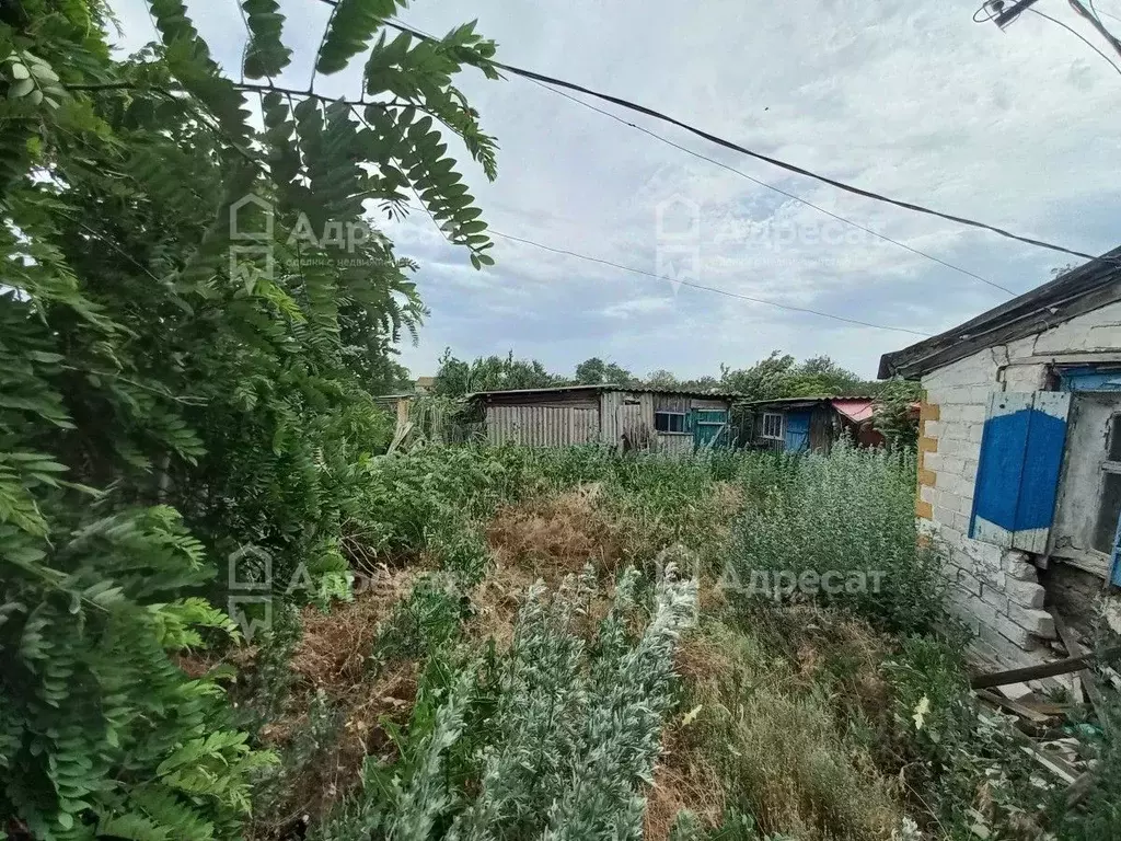 Дом в Волгоградская область, Ленинский район, с. Царев ул. Ленина (18 ... - Фото 1